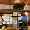 ネコリパブリック、猫を愛でながら完全個室でテレワークができる新サービス「猫旅籠ワーク」を開始