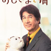 「おじさまと猫」、Blu-ray＆DVD BOX発売決定
