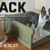 ゼフィール、愛犬のためのインテリアトイレ「HACK」を発売