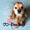 「第31回 ワン One day！」、湘南T-SITEにて開催