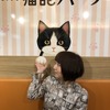 「OSAKA na kitchen×猫部パーラー」、阪急大阪梅田駅にオープン