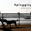 enkara、「#plogging dog」を開催
