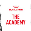 ロイヤルカナン ジャポン、獣医療関係者向けEラーニングサイト「ROYAL CANIN ACADEMY」を開講
