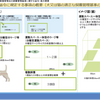 犬・猫の飼育スペースに関する数値基準