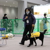 日本補助犬協会のデモンストレーション（インターペット2021）