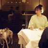星野リゾート リゾナーレ八ヶ岳の愛犬と泊まれるプラン「八ヶ岳ペット旅」