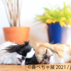 鼻ぺちゃ犬の合同写真展＆物販展「鼻ぺちゃ展」、横浜＆調布で開催