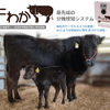 画像認識AIによる牛の分娩検知システム「牛わか」