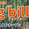 神戸どうぶつ王国、ハシビロコウの新エリア「Big bill」オープン