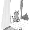 主婦の友社、猫との17の実話を収録した『猫がいてくれるから』を刊行