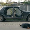 『犬は歌わない』（C）Raumzeitfilm
