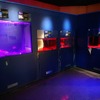仙台うみの杜水族館、深海エリアをリニューアルオープン