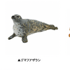 彫刻家はしもとみお×新江ノ島水族館のコラボフィギュア、新江ノ島水族館にて限定販売