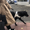 セイバン、京都芸術大学と共同開発した「盲導犬ハーネス」を関西盲導犬協会に寄付