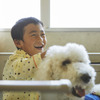 日本介助犬協会では、動物介在活動や動物介在療法にも力を入れている