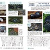 日本自然保護協会 自然観察ツール公開
