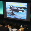 鴨川シーワールド、「国際博物館の日」記念イベントとして「シャチものしり講座」を開講