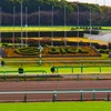 日本中央競馬（JRA）を引退する馬は毎年5000頭を超える