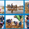 海藻について学ぶイベント「海藻の森探検～海と日本プロジェクト～」、函館にて開催