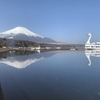山中湖遊覧船「白鳥の湖号」、「白鳥のエサやり体験と水上エコツアー」を開催