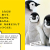 エムディエヌコーポレーション、“ナショジオキッズ”シリーズ『のそのそ パンダ』『よちよち ペンギン』など6冊を刊行