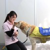 日本介助犬協会 管理部広報グループの後藤優花 副主任とPR犬のファンタ