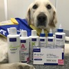ビルバックジャパン、介助犬支援につながる犬用シャンプー「エピスース ペプチド」を新発売
