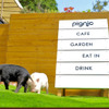 マイクロブタと触れ合える牧場体験型カフェ「pignic farm&cafe」プレオープン