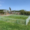 「Rabbit Park FUJISAWA」、夏期クローズ期間を利用した“国産生牧草の詰め放題”スタート
