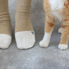 ネコリパブリック、まるで白いソックスを履いているような「靴下猫」をイメージした靴下を発売