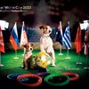 「Animal World Cup 2021（アニマルワールドカップ2021）」