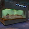 しながわ水族館、開館30周年特別展「にょろにょろ展」開催＆コツメカワウソの新展示スタート