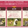 ユニ・チャーム、愛犬・愛猫の筋肉の健康を維持するカラダづくりフード「Physicalife -フィジカライフ-」を発売
