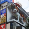 新宿駅前の巨大3D三毛猫に注目集まる！今後期待される新しい広告ビジョン