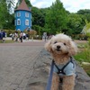 愛犬と一緒に川越小江戸＆ムーミンバレーパークを訪れる日帰りバスツアー開催
