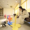 愛犬と泊まれる旅館「ゆるり西伊豆」、愛犬用クールバンダナ付きプランを発売