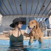 プール付きヴィラで愛犬と一緒に過ごせる「FINE GLAMPING Doggies Pool Villa」オープン