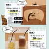 食べる・遊ぶ・買うの全てが保護猫活動につながる「ネコリパランド」、大阪にグランドオープン