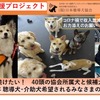 日本聴導犬協会、約40頭の所属犬の育成費用支援をクラウドファンディングで呼び掛け