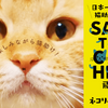ネコリパブリック、ふるさと納税を活用した飛騨市との猫助けプロジェクト「SAVE THE CAT HIDA」を始動