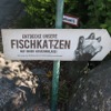 ドイツ ミュンヘンにあるヘラブルン動物園のスナドリネコ