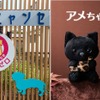 ホテル日航大阪、オリジナルマスコット「アメちゃんねこ」をオンラインショップ にて発売