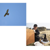「サントリー世界愛鳥基金」2022年度助成先募集開始