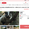 岐阜県七宗町とさとふる、里山保全と野生動物の命を守るためのクラウドファンディング開始