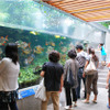 板橋区立熱帯環境植物館、「アマゾン展リターンズ」を開催