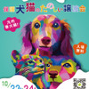 九州最大級の保護犬猫譲渡会開催