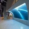 アートとアクアリウムが融合した水族館「átoa」、神戸にオープン