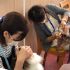 日本ペット歯みがき普及協会、「愛犬の健康寿命のための歯磨き教室」を開催