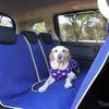 ドライブ時、正しい愛犬の乗せ方