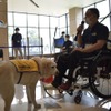 イオンペット×日本補助犬協会、補助犬の活動を学べる体験イベント「もっと知って！ほじょ犬イベント」を開催